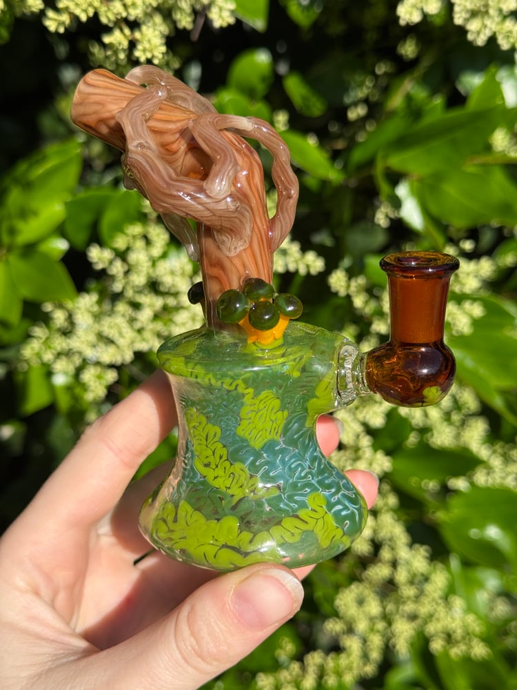 Image of Green Headed Jelly Jammer 