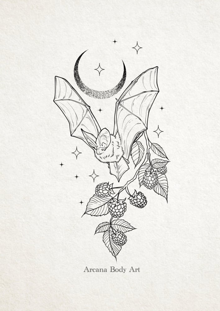 Image of Chauve souris