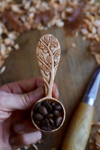 Image 6 of Oak Tree- Coffee Scoop