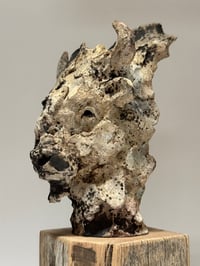 Image 1 of “Jed”