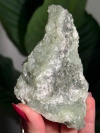 Image 2 of BOWTIE PREHNITE -INDIA- E