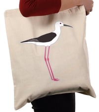 Image 5 of Black-winged Stilt - No.132 - UK Birding Series