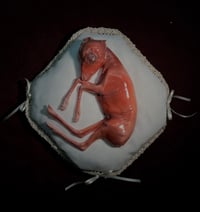 Image 1 of Death cast Roe Deer Embryo 