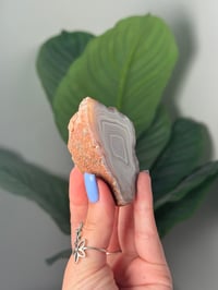 Image 2 of MILKY WHITE MOROCCAN AGATE