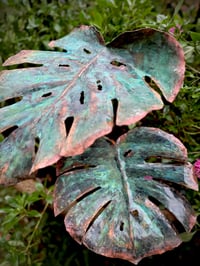 Image 4 of Luscious Leaves