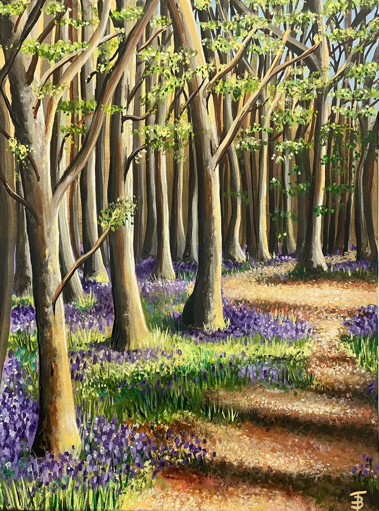 Image of Pathway through the Bluebell Woods