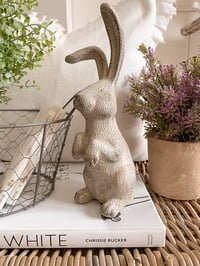 Rufus the Rabbit