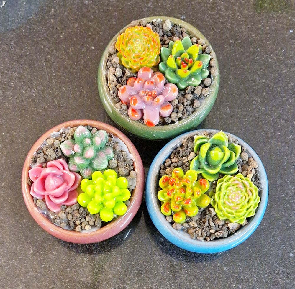 Image of Fused Glass Succulents in Mini Round Pot