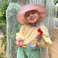 Image 4 of SUNSHINE TOP