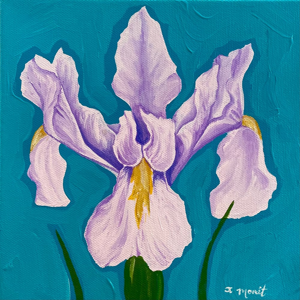 Image of Iris