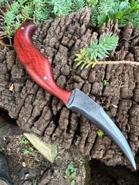 Image 1 of PADAUK GEN2 DRAUG