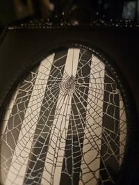 Image 3 of "BEETLEJUICE" black And White Preserved Spider Web -B 