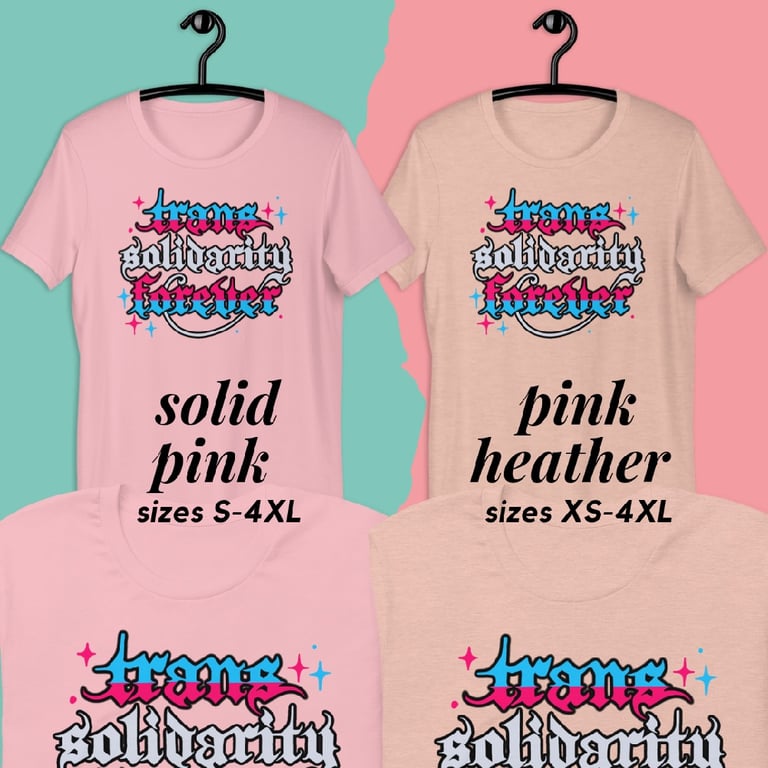 Trans Solidarity Forever Calligraphy Printed Tee Image 3