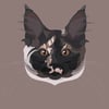 Digital Pet Portrait 