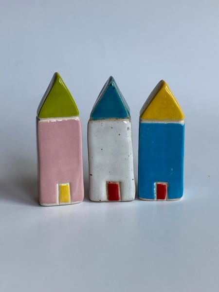 Image of BIG little houses