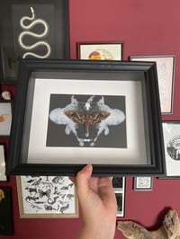 Sphinx moth - The Ambiguous Ink Blot Collection
