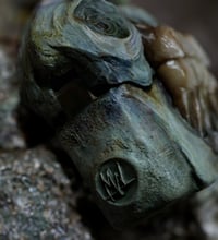 Image 12 of Old Bone Dental Ring Box- ring storage stash box handmade, one off