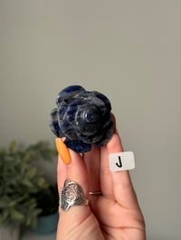 Image 11 of SODALITE  ROSES