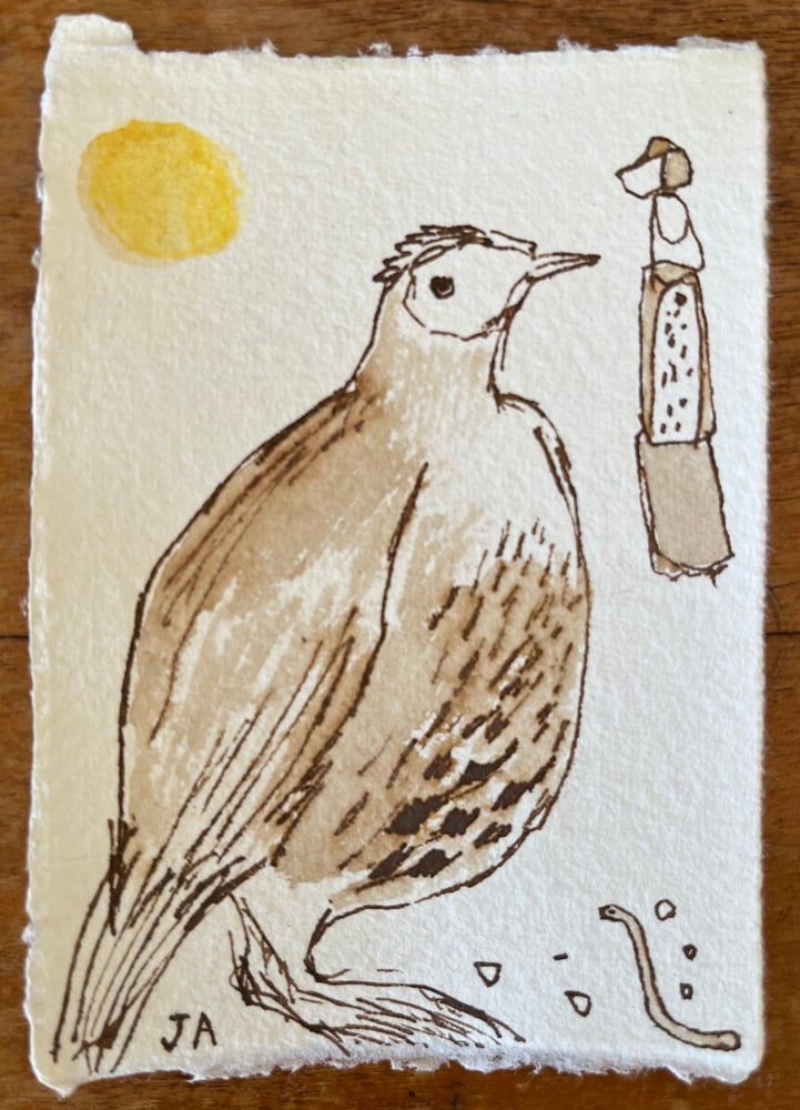 Image of Mrs leek and the worm. 