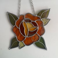 Image 4 of orange rose
