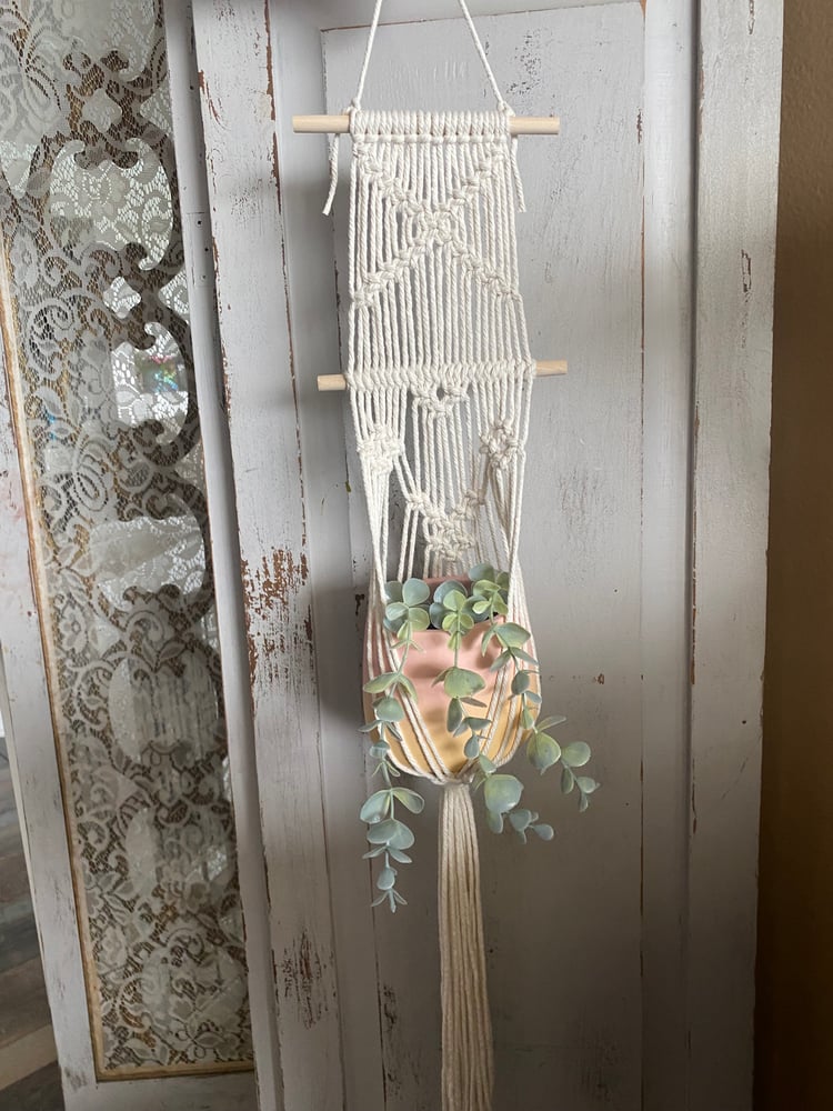 Image of Plant hanger w/ombré pot