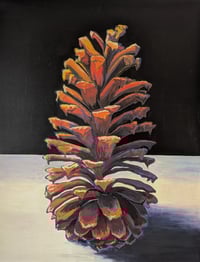 Image 1 of Long Leaf Pine Cone #2