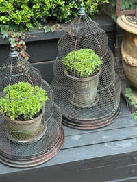 Image 2 of Beehive Garden Cloche Set