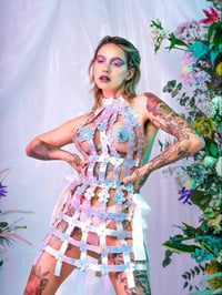 Image 1 of Flower Cage Dress