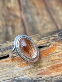 Image 5 of You’re So Golden 