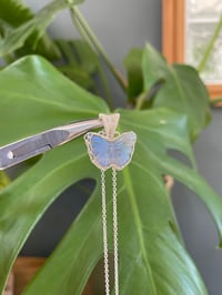 Image 2 of PRE ORDER Butterfly BATCH 2