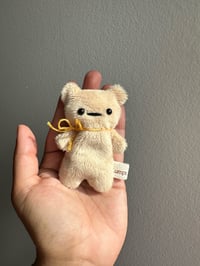 Image 4 of Tiny Ted