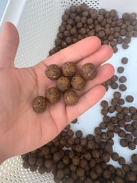 Image 1 of Crab, liver and krill boilies