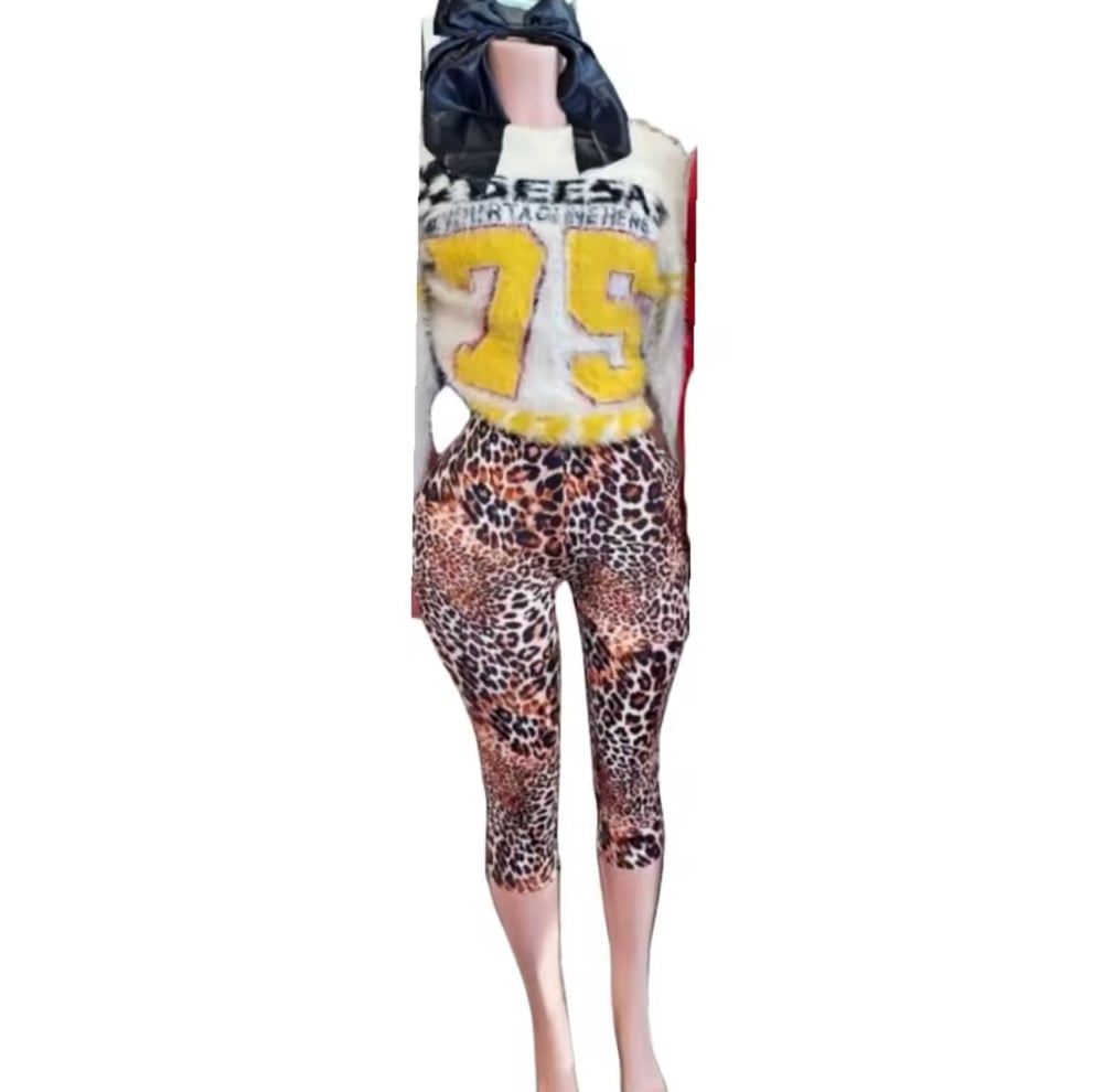 Image of 79 Leopard Set 
