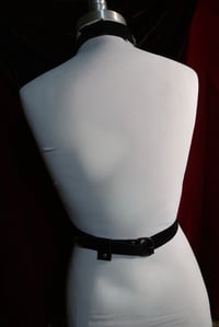 Image 3 of Sulk | O ring buckled harness