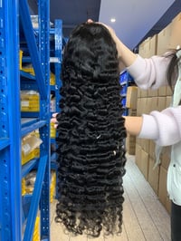 Burmese Curly 