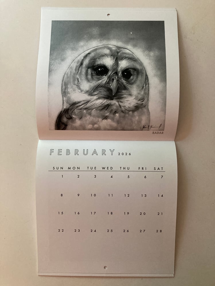 Image of Birds of the Open Door Bird Sanctuary 2026 calendar