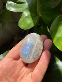Image 1 of Moonstone Palm Crystal (9)