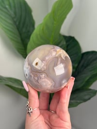 Image 2 of FLOWER AGATE SPHERE -MADAGASCAR- A