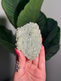 BOWTIE PREHNITE -INDIA- B