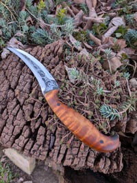 Image 2 of GEN2 DRAUG