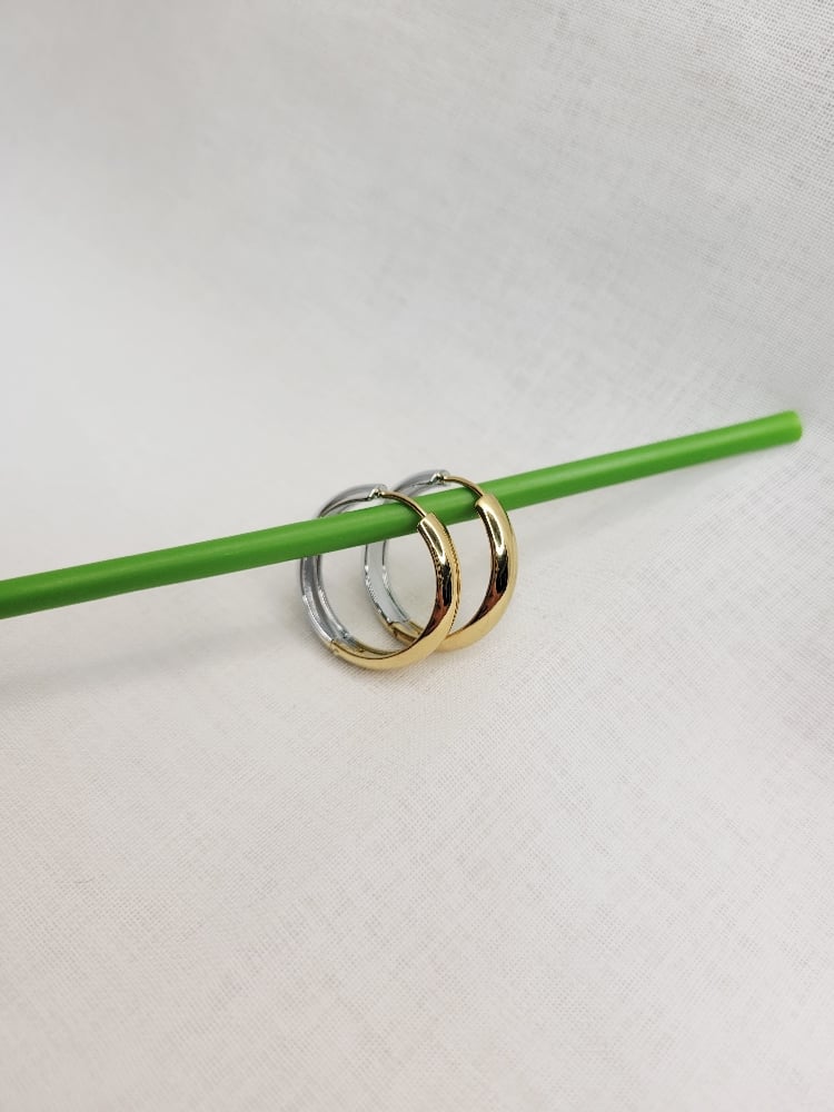 Image of Taylor Hoop Earrings 