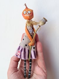 Image 3 of Pumpkin Poppy