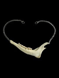 Image 1 of deer jaw chain