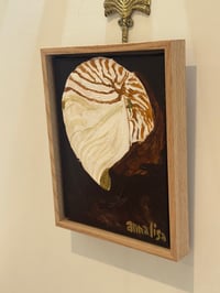 Image 4 of Island Shell Original
