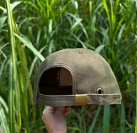 Image 4 of Kole Adult Dad Hats