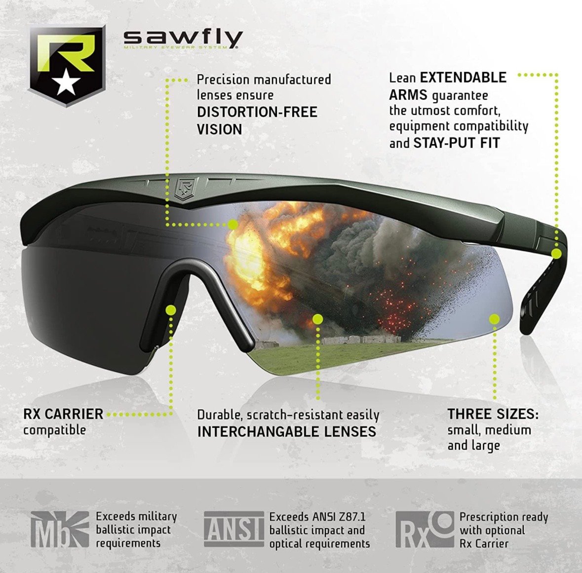 Image of REVISION™️ “SAWFLY”®️ Ballistic Eyewear Set