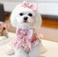 Image 2 of AUDREY BOW