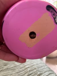 Image 2 of Ghost Plant in Pink Ladybug 