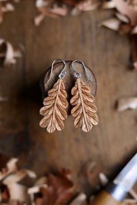 Image 1 of Oak Leaf - Earrings 