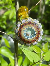 Image 9 of Sunburst Dahlia